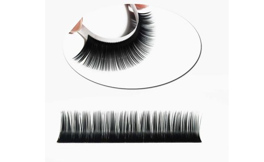 Ellipse Eyelash Extension03